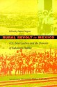 Rural Revolt in Mexico: U.S. Intervention and the Domain of Subaltern Politics - Daniel Nugent