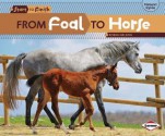 From Foal to Horse - Robin Nelson