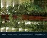 Tree: A New Vision of the American Forest - Jim Balog, David Friend