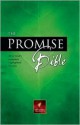 Promise Bible-Nlt - Gil Beers, V. Gilbert Beers