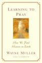 Learning to Pray: How We Find Heaven on Earth - Wayne Muller