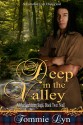 Deep in the Valley: A Maclachlainn Saga, Book Two: Niall - Tommie Lyn