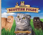 Sweet Scottish Folds - Katherine Hengel