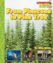 From Pinecone to Pine Tree - Ellen Weiss