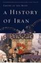 A History of Iran: Empire of the Mind - Michael Axworthy