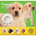 Touch, Feel And Listen Puppy And Friends (Bright Baby) (Bright Baby) - Priddy Books