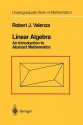 Linear Algebra: An Introduction to Abstract Mathematics - Robert J Valenza