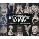 Big Book Of Beautiful Babies - David Ellwand