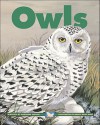 Owls (Kids Can Press Wildlife Series) - Adrienne Mason