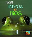 From Tadpole To Frog - Anita Ganeri