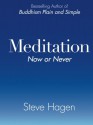 Meditation Now or Never - Steve Hagen