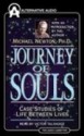 Journey of Souls (Audio) - Michael Newton, Stephen O'Hara, Amy Hill