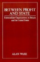 Between Profit and State: Intermediate Organisations in Britain and the United States - Alan J. Ware