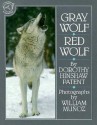 Gray Wolf, Red Wolf - Dorothy Hinshaw Patent