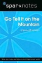 Go Tell it on the Mountain (SparkNotes Literature Guide Series) - James Baldwin