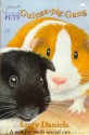 Guinea-pig Gang - Ben M. Baglio, Lucy Daniels