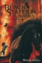 Black Stallion and Satan - Walter Farley