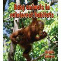 Baby Animals in Rainforest Habitats - Bobbie Kalman