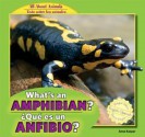 What's an Amphibian? / Que Es Un Anfibio? - Anna Kaspar, Eduardo Alaman