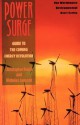 Power Surge: Guide to the Coming Energy Revolution - Christopher Flavin