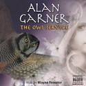 The Owl Service - Alan Garner, Wayne Forester