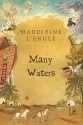 Many Waters - Madeleine L'Engle