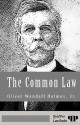 The Common Law - Oliver Wendell Holmes Jr.