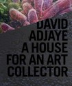 David Adjaye: A House for an Art Collector - David Adjaye, Adam Lindemann, Robert Polidori