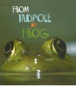 From Tadpole to Frog - Anita Ganeri