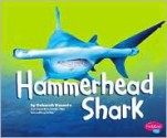 Hammerhead Shark - Deborah Nuzzolo