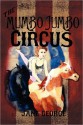 The Mumbo Jumbo Circus - Jane George