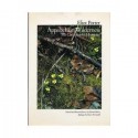 Appalachian Wilderness: The Great Smoky Mountains - Eliot Porter