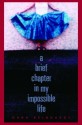 A Brief Chapter in My Impossible Life - Dana Reinhardt