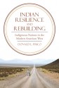 Indian Resilience and Rebuilding: Indigenous Nations in the Modern American West - Donald L. Fixico