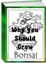 Why You Should Grow Bonsai - Jack Earl