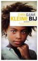 Kleine Bij - Chris Cleave, Dennis Keesmaat