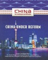 China Under Reform - Zhimin Lin