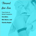 Bound for Sin: Three Stories of Wicked Temptation: Includes Succubus, Wet Nurse, and Charity Begins from Pleasure Bound - Susan Swann, Priscilla Carson, Ashford Macnab, Victoria Hammerstein