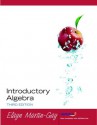 Introductory Algebra (Martin-Gay Developmental Math) - Elayn Martin-Gay