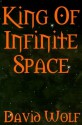 King of Infinite Space: A Murder Mystery - David Wolf