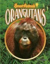 Orangutans - Meish Goldish, Gary Shapiro