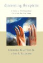 Discerning the Spirits: A Guide to Thinking about Christian Worship Today (Calvin Institute of Christian Worship Liturgical Studies) - Sue A. Rozeboom, Cornelius Plantinga Jr.