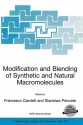 Modification And Blending Of Synthetic And Natural Macromolecules: Proceedings Of The Nato Advanced Study Institute On Modification And Blending Of Synthetic ... Ii: Mathematics, Physics And Chemistry) - Francesco Ciardelli, Stanislaw Penczek