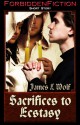 Sacrifices to Ecstasy - James L. Wolf