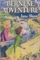 Bernese Adventure - Jane Shaw