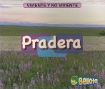 Que Vive En Una Pradera?what's Living in a Prarie? (Viviente Y No Viviente/ Living and Nonliving) - Cassie Mayer