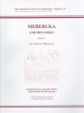 Mereruka and His Family Part III: 1, the Tomb of Mereruka - Effy Alexakis, Naguib Kanawati, Alexandra Woods, Sameh Shafik