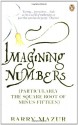 Imagining Numbers - Barry Mazur