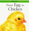 From Egg to Chicken (Lifecycles) - Gerald Legg