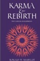 Karma and Rebirth: Post Classical Developments - Ronald W. Neufeldt